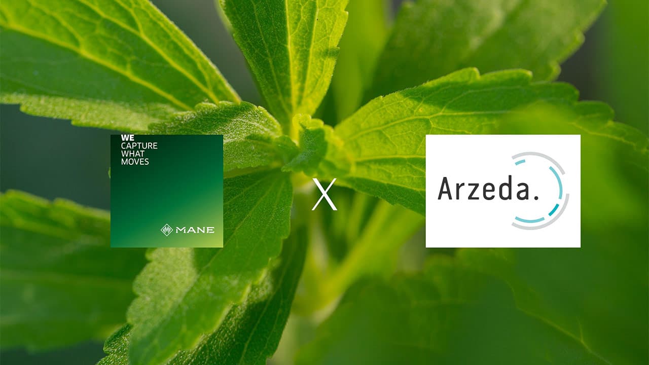 Grasse :  avec Arzeda, MANE veut réduire le sucre, sans renoncer au plaisir