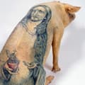 Mamac de Nice : polémique ouverte autour des "cochons tatoués" de Wim Delvoye