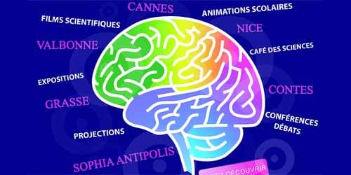 Semaine du Cerveau : cette mémoire qui fait toute notre vie