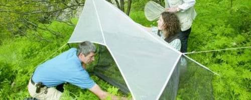 Le Parc du Mercantour fête ses 30 ans et fait son inventaire