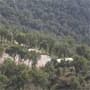Alpes-Maritimes : le pôle dexcellence rurale "filière bois" labellisé