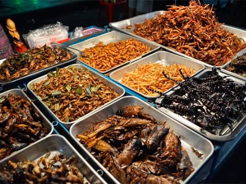 Biot : l'alimentation de demain vue par les "Souffleurs d'Avenir"