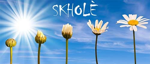 Sophia : pédagogie innovante pour Skholé, la nouvelle école Sudbury