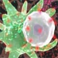 Sophia : deuxième levée de fonds à 10,5 M€ pour TxCell