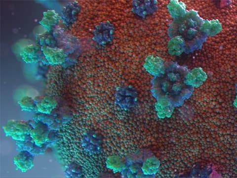 Monaco : de l'importance du diagnostic (à faible coût) pour lutter contre la pandémie