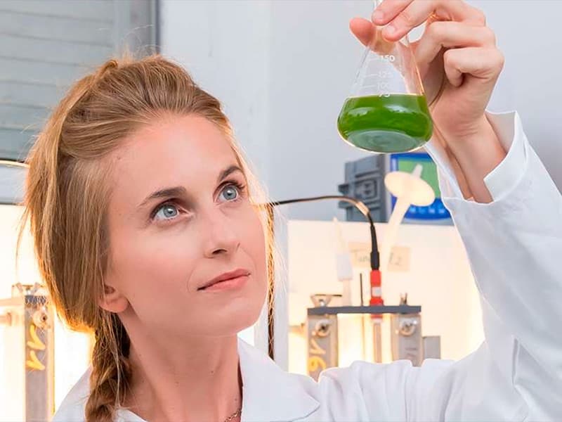 Sophia : Francesca Casagli primée pour ses bioprocédés de purification de l'eau