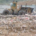 Déchets : la Côte d'Azur dans le mur !