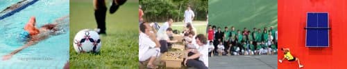Jeux de Sophia : Mougins School détrône Amadeus !