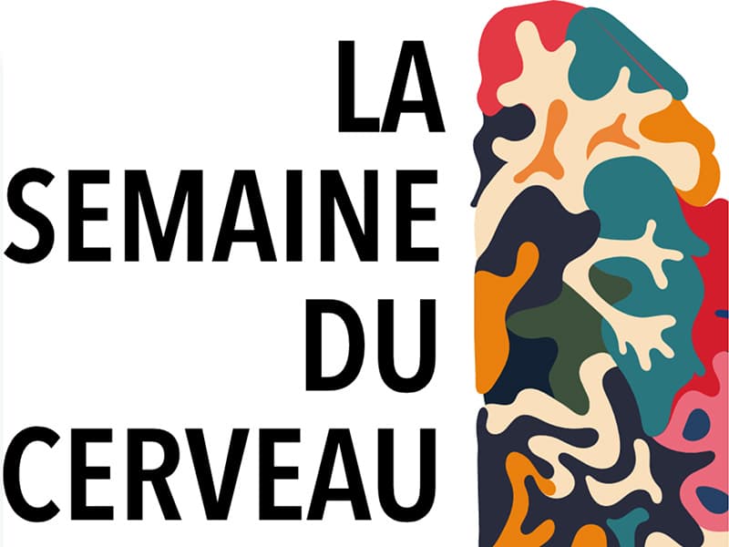 Une Semaine du Cerveau autour des apprentissages