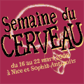 Semaine du cerveau : les avancées de la recherche