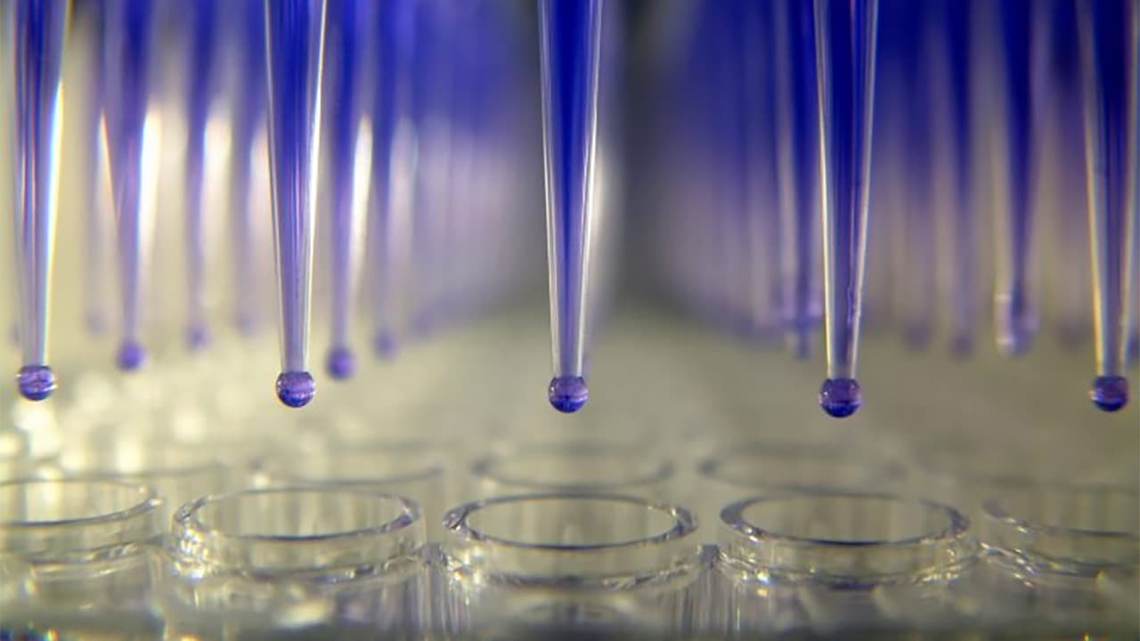 MANE dope sa perception sensorielle avec ChemoSensoryx Biosciences