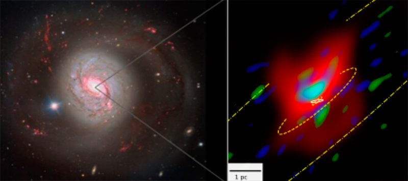 Observatoire Galaxie M77 images