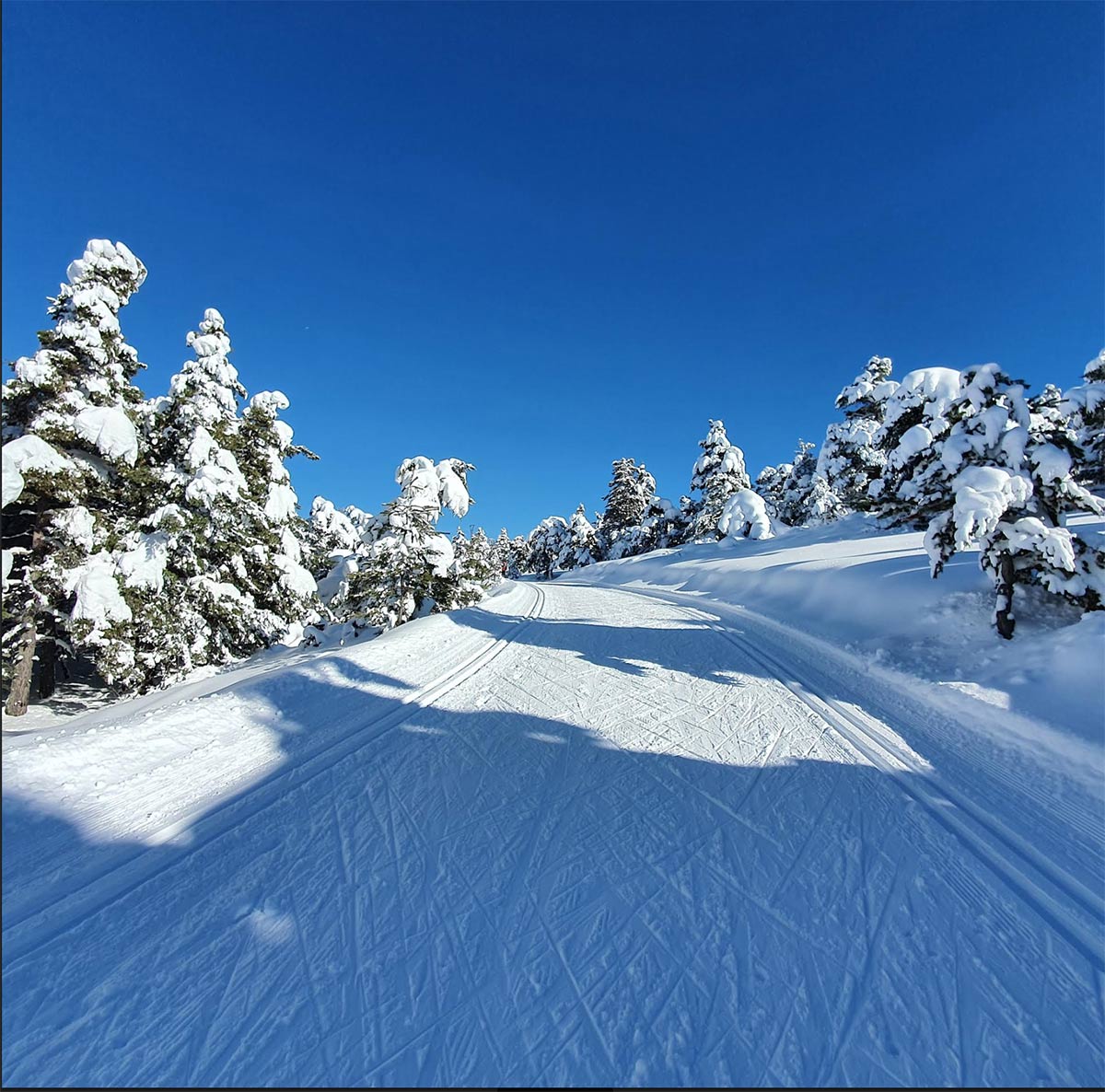 Une neige de rêve et des pistes de ski de fond au milieu des arbres. De quoi oublier les embouteillages (Photo JL)
